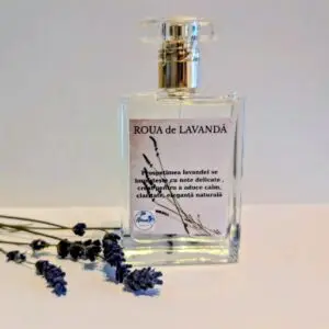 Perfume Lavander Dew