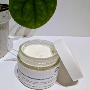 Face Cream with Collagen & Retinol Intensive Regeneration for Mature Skin